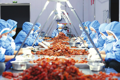 山西康顺达食品股份 协同发展释放活力，引领食品生产新篇章