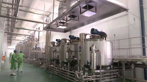 中坤食品迈入试生产新阶段，预计月底全面投产引领食品产业新篇章