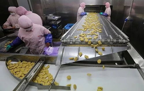 从海底捞到网红店，解决中国餐饮行业食品安全问题有多难