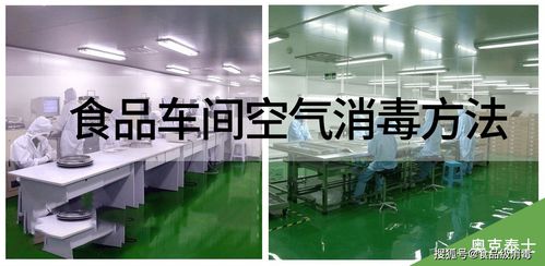 食品生产车间空气消毒的三大有效方法与霉菌消毒剂应用指南