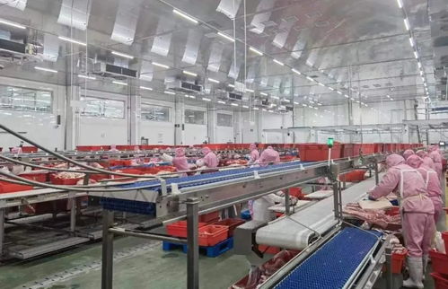 副市长陈晓强深入夏津县食品生产经营企业督导调研保健食品生产工作